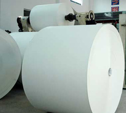 Pe Coated Paper Rolls